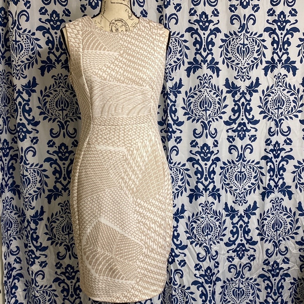 Calvin Klein Sleeveless Sheath Dress- Size 8